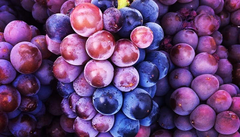 IS ALL PINOT CREATED EQUAL? AND DO YOU THINK RED, OR WHITE?