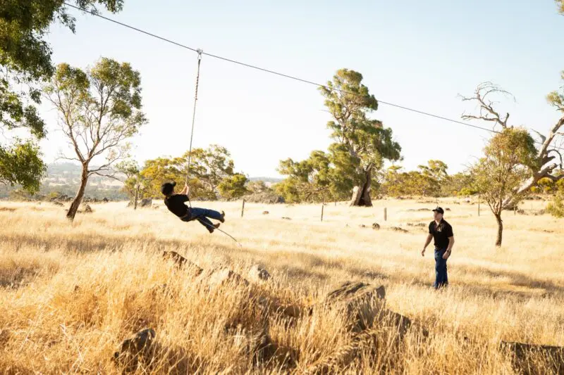 2022 ZIP LINE SHIRAZ - DOZEN DEAL - Image 2