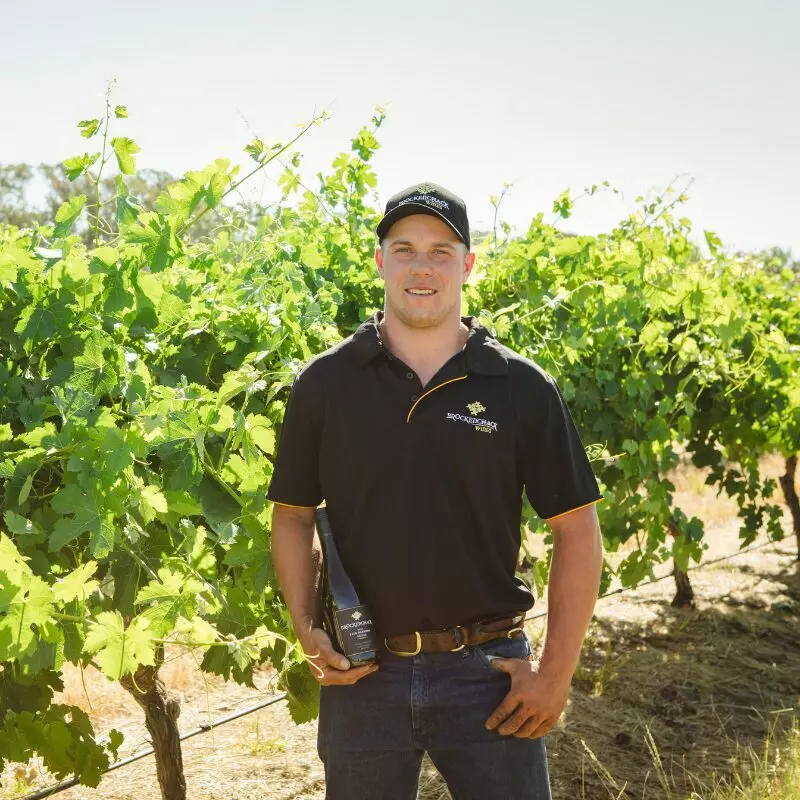 2018 JACK HARRISON SHIRAZ - Image 2