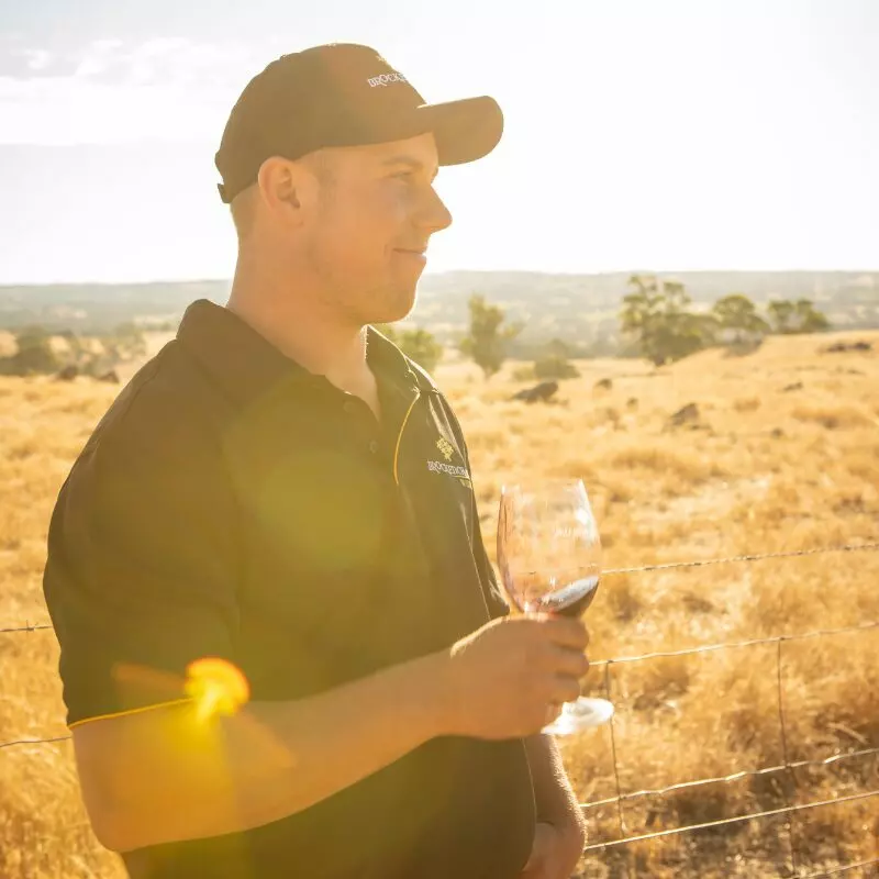 2018 JACK HARRISON SHIRAZ - Image 3
